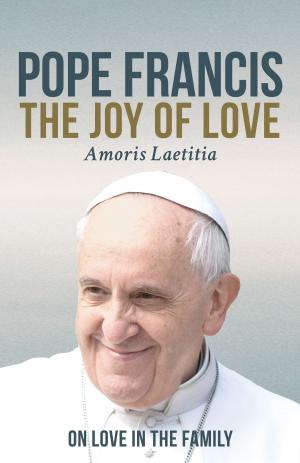 Cover of the book The Joy of Love (Amoris Laetitia) by Richard J. Hauser