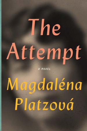 bigCover of the book The Attempt by 