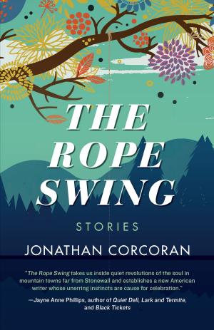 Cover of the book The Rope Swing by LEE MAYNARD