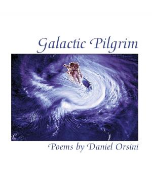 Cover of the book Galactic Pilgrim by David Robertson
