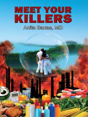 Cover of the book Meet Your Killers by Michael Berg, Dave Lee, Greg Merrit and Joe Wuebben