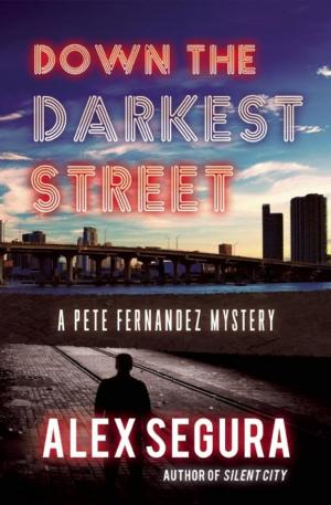 Cover of the book Down the Darkest Street by Alex Segura