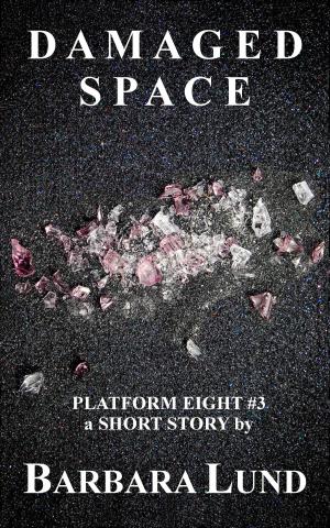Cover of the book Damaged Space by Erik Scott de Bie