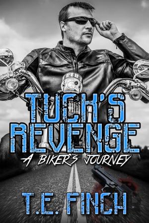 Book cover of Tucks Revenge A Biker's Journey