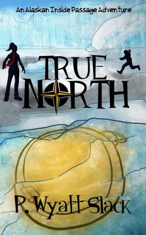 Cover of the book True North by Adam Graham