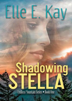 Cover of the book Shadowing Stella by Kayla Lowe
