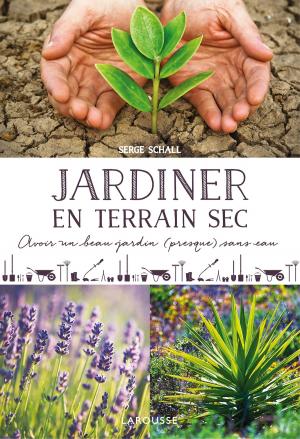 Cover of the book Jardiner en terrain sec by Anaïs Galon, Christine Nougarolles, Julie Rinaldi