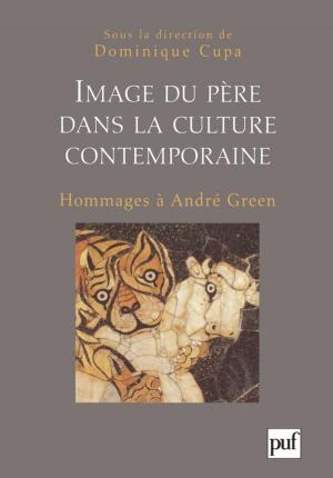 Cover of the book Image du père dans la culture contemporaine by Claudine Blanchard-Laville