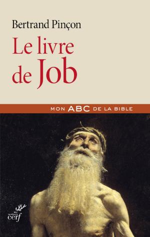 Cover of the book Le livre de Job by Thierry Henault-morel