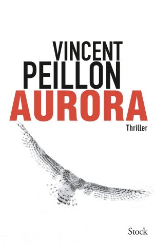 Cover of the book Aurora by Jean-Christophe Collin