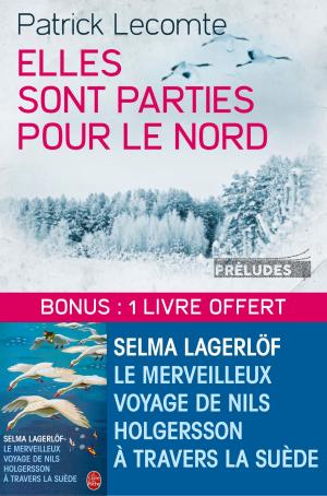 Cover of the book Elles sont parties pour le Nord suivi de Le Merveilleux voyage de Nils Holgersson à travers la Suède by Sabine Durrant