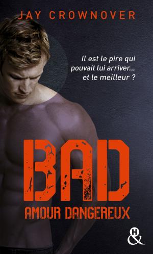 bigCover of the book Bad - T2 Amour dangereux by 