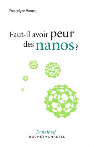 Cover of Faut-il avoir peur des nanos ?