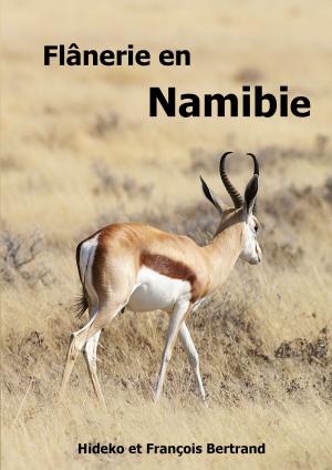 Cover of the book Flânerie en Namibie by René Schreiber