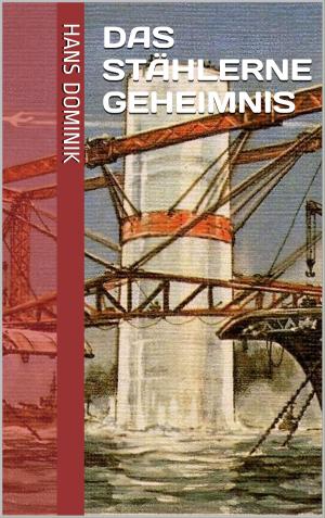 Cover of the book Das stählerne Geheimnis by Jörg Becker