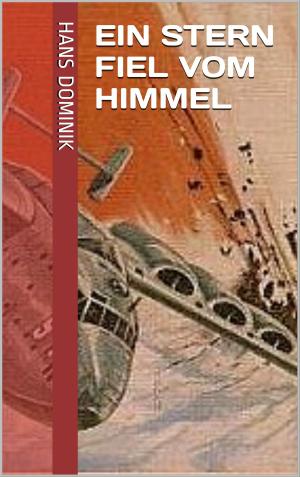 Cover of the book Ein Stern fiel vom Himmel by Anne-Katrin Straesser