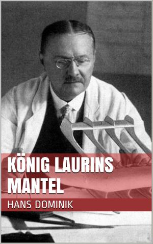 Cover of the book König Laurins Mantel by Manfred Stahnke