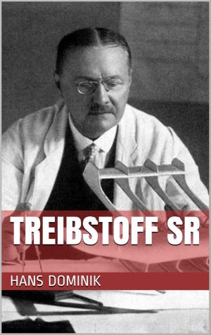 Book cover of Treibstoff SR