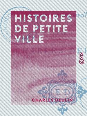 Cover of the book Histoires de petite ville by Charles de Rémusat, Ellen Julia Hollond