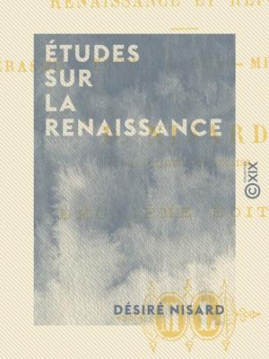 bigCover of the book Études sur la Renaissance by 
