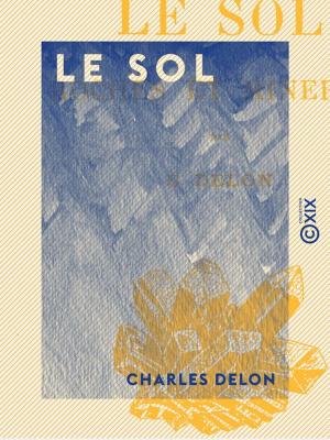 Cover of the book Le Sol by Frédéric Marcelin