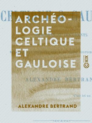 Cover of the book Archéologie celtique et gauloise by Paul de Musset