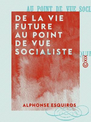 Cover of the book De la vie future au point de vue socialiste by François Guizot