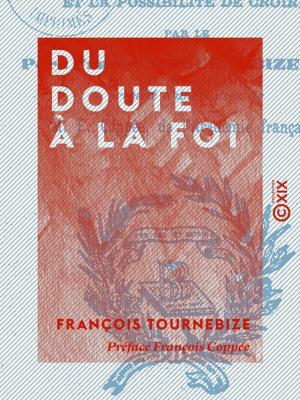Cover of the book Du doute à la foi by Jean-Louis Dubut de Laforest
