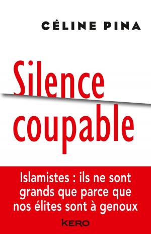 Cover of the book Silence coupable by Camille Anseaume