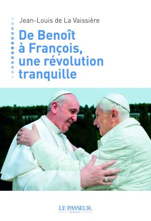 Cover of the book De Benoît à François, une révolution tranquille by Patrice Gourrier, Richard Amalvy, Jean-michel Di falco leandri