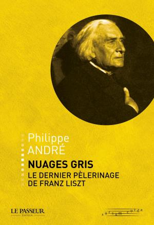 Cover of the book Nuages gris, le dernier pélerinage de Franz Liszt by Marianne Chaillan