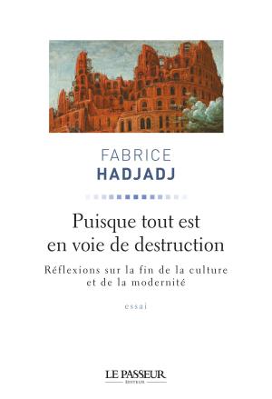 Cover of the book Puisque tout est en voie de destruction by Vincent Crouzet