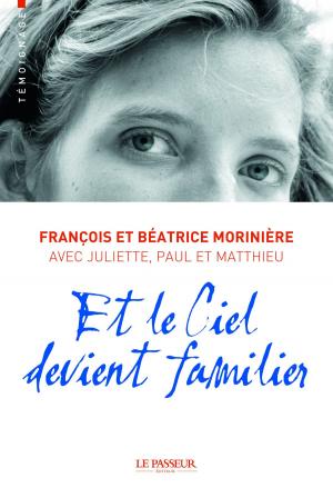 Cover of the book Et le ciel devient familier by Stephane Degonde