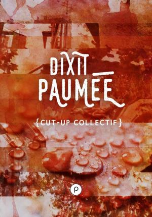 bigCover of the book Dixit Paumée by 