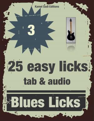 Cover of the book Blues Licks Vol. 3 by Michael Rays