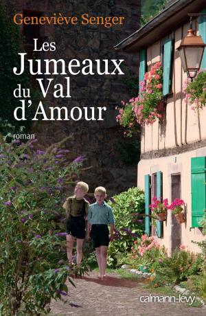 bigCover of the book Les Jumeaux du Val d'amour by 