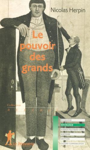 Cover of the book Le pouvoir des grands by François DOSSE