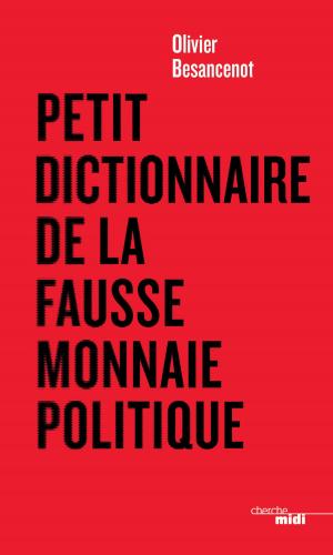 Cover of the book Petit dictionnaire de la fausse monnaie politique by Pierre KASSAB