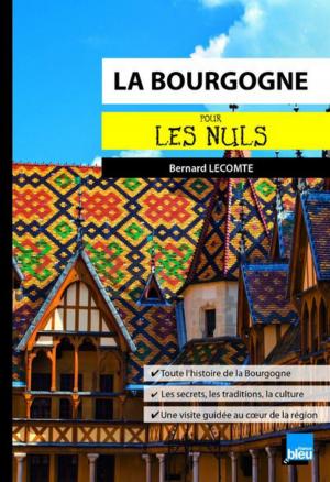 Book cover of La Bourgogne pour les Nuls poche