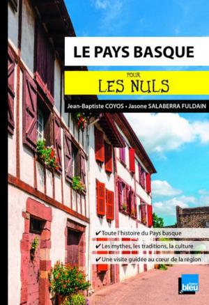 Cover of the book Le Pays Basque pour les Nuls poche by Christophe DOVERGNE, Damien DUQUESNE