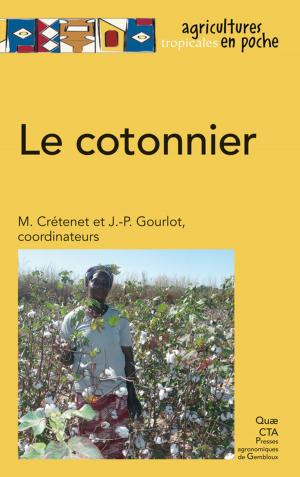Cover of the book Le cotonnier by Michel Barel