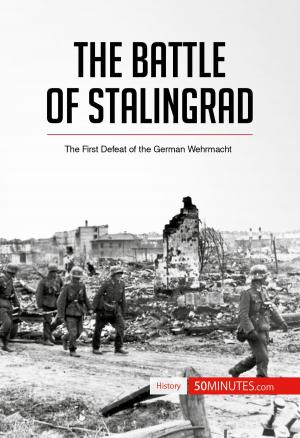 bigCover of the book The Battle of Stalingrad by 