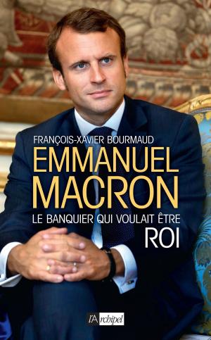 Cover of the book Emmanuel Macron, le banquier qui voulait être roi by Jacques Mazeau