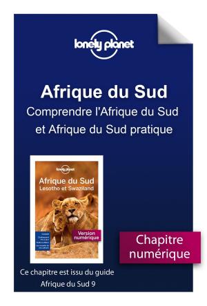 Cover of the book Afrique du Sud - Comprendre l'Afrique du Sud et Afrique du Sud pratique by Michel GALABRU, Alexandre RAVELEAU