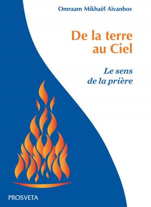 Cover of the book De la terre au Ciel by Omraam Mikhaël Aïvanhov