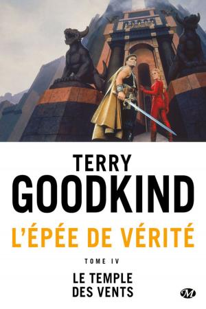 Cover of the book Le Temple des vents by David Gunn