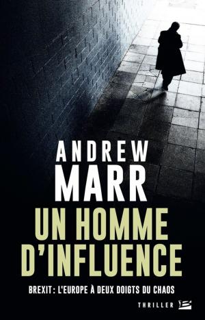 Cover of the book Un Homme d'influence by Fabrice Colin, Mathieu Gaborit