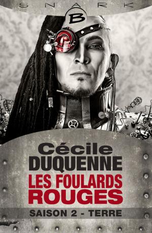 Cover of the book Terre - Les Foulards rouges - Saison 2 by Richard Sapir, Warren Murphy