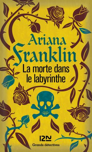 Cover of the book La morte dans le labyrinthe by Cédric DASSAS