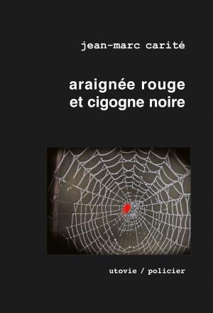 Cover of the book Araignée rouge et cigogne noire by Evan Richardson